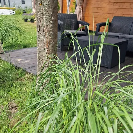캠프장 3 Widoki Kiekrz -domki Tiny House Z Prywatna Plaza I Pomostem Nad Jeziorem Kierskim